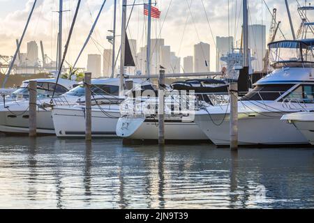 Miami Sea Hafen bei goldenem Sonnenuntergang mit amerikanischer Flagge, Florida, USA Stockfoto