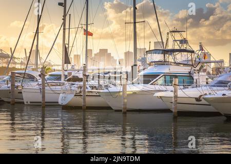 Miami Sea Hafen bei goldenem Sonnenuntergang mit amerikanischer Flagge, Florida, USA Stockfoto