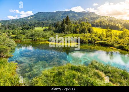 Zelenci - smaragdgrüner See in den Bergen Stockfoto