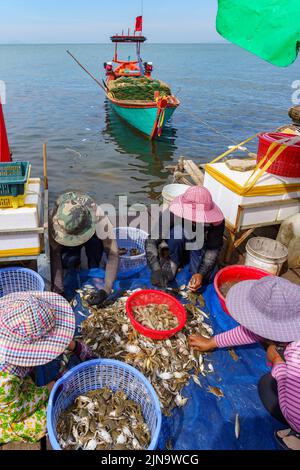 Kambodscha. Der Badeort Kep. Provinz Krong Kep. Krabbenmarkt Stockfoto