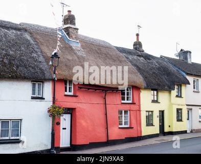 Wunderschöne Reihe von strohgedeckten Häuschen in Hatherleigh, Devon, Großbritannien. Stockfoto