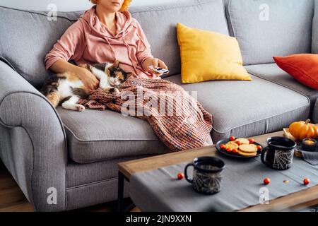 Frau mit karierter Filmauswahl mit Fernbedienung und Streicheleinheiten für mehrfarbige Katzen auf dem Sofa. Filmabend Party zu Hause mit Süßigkeiten und heißen d Stockfoto