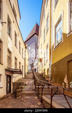 Die Treppe hinauf zur Oberstadt auf dem Toompea-Hügel in der Altstadt von Tallinn, der Hauptstadt Estlands Stockfoto