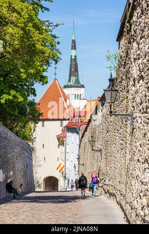 Eine gepflasterte Straße zwischen den Verteidigungsmauern von der Oberstadt bis zur Unterstadt in der Altstadt von Tallinn, der Hauptstadt Estlands Stockfoto