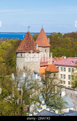 Blick von der Oberstadt auf einige der Verteidigungsmauern rund um die Altstadt von Tallinn, der Hauptstadt Estlands Stockfoto