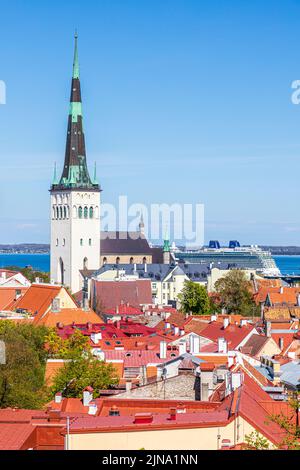 Blick von der Oberstadt über die Dächer der Altstadt mit dem Kirchturm des heiligen Olav, Tallinn, Estland Stockfoto