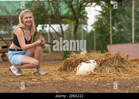 Mädchen Petersilie braun Kaninchen füttert osterhase weiß flauschig gesund, Konzept Gruppe sitzen glücklich aus pelzigen häuslichen, wilden Augen. Komisch isoliert, Stockfoto