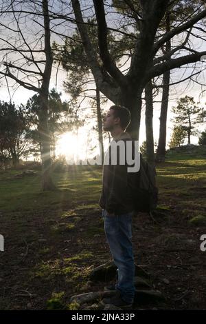 Junger Mann, der bei Sonnenuntergang am Horizont im Wald steht Stockfoto