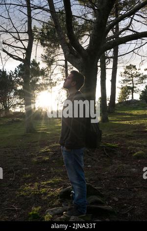 Mann, der bei Sonnenuntergang den Horizont im Wald betrachtet Stockfoto