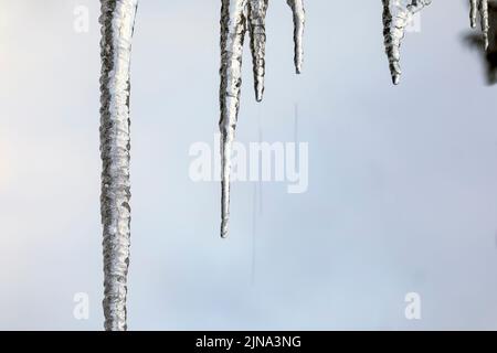 WA21884-00...WASHINGTON - Wasser tropft von Eiszapfen auf einem Hausdach. Stockfoto