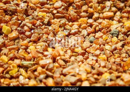 Bernstein, mineraloide, versteinerte fossile Baumharze, gehärtetes Harz der ältesten Nadelbäume der späten Kreidezeit und des Paläogens. Stockfoto