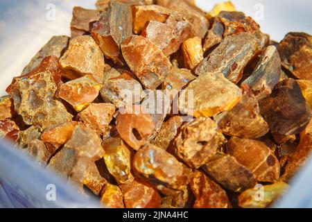 Bernstein, mineraloide, versteinerte fossile Baumharze, gehärtetes Harz der ältesten Nadelbäume der späten Kreidezeit und des Paläogens. Stockfoto