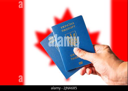 Zwei biometrische ukrainische Pässe in der Hand einer Frau vor dem Hintergrund der kanadischen Nationalflagge. Reisen der Ukrainer nach Kanada, Tourismus, b Stockfoto