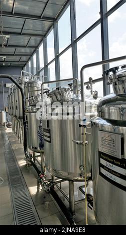 Reihe von Mikrobrauereitanks aus glänzendem Metall oder Gärtanks in der Brauerei-Fabrik. Moderne Bieranlage mit Braukesseln, Röhren und Tanks aus Stockfoto