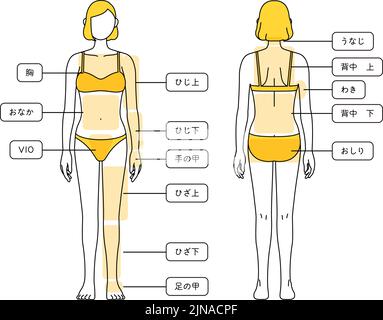 Illustrationen zur Haarentfernung für Frauen - Ganzkörper - Übersetzung: Brust, Bauch, Ellbogen, Ellbogen, Handrücken, Knie, Knie, Beinrückseite, Nacken, Obermaterial Stock Vektor