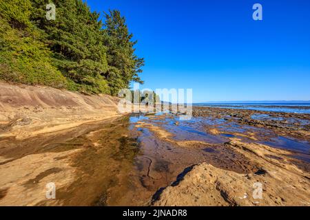 Flache Gezeitentümpel am verwitterten Sandsteinstrand am Botanischen Strand im Juan de Fuca Provincial Park Stockfoto