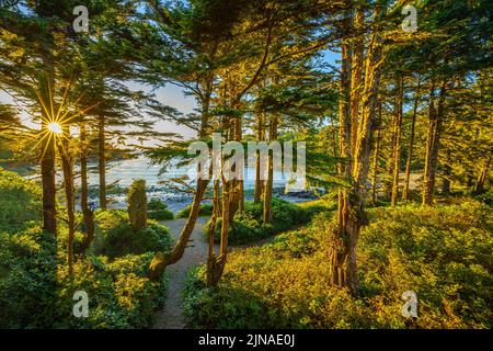 Terrasse, Sonnenuntergang Am Strand Stockfoto