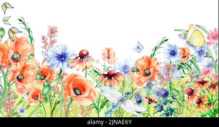 Wiese orange, rote Blumen Bord, Libelle, Schmetterlinge Aquarell Illustration auf weißem Hintergrund. Wildblumen, Mohnblumen und Insekten handbemalte BA Stockfoto