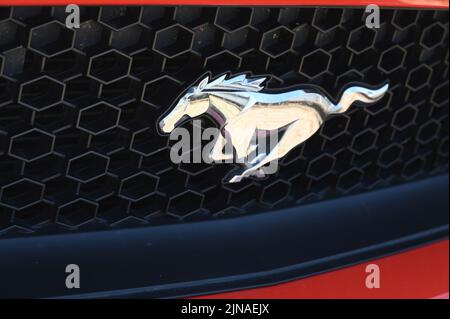 Köln, Deutschland. 10. August 2022. Logo des US-Sportwagens Ford Mustang auf Kühlergrill Credit: Horst Galuschka/dpa/Horst Galuschka dpa/Alamy Live News Stockfoto