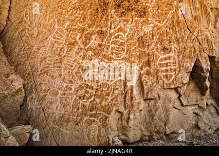 Petroglyphen am Tuffaufschluss, White River Narrows Archaeological District, Valley of Faces, Basin and Range National Monument, Nevada, USA Stockfoto