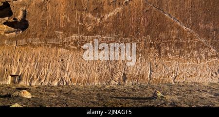 Petroglyphen am Tuffaufschluss, White River Narrows Archaeological District, Valley of Faces, Basin and Range National Monument, Nevada, USA Stockfoto