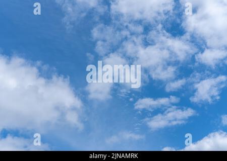 Blauer Himmel Hintergrund mit weißen flauschigen Cumulus Wolken. Panorama von weißen, flauschigen Wolken am blauen Himmel. Wunderschöner, riesiger blauer Himmel mit erstaunlichen verstreuten Stockfoto