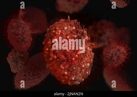 Monkeypox-Virus. Krankheitserreger Nahaufnahme Mikroskopische Ansicht. 3D Darstellung rendern. Stockfoto
