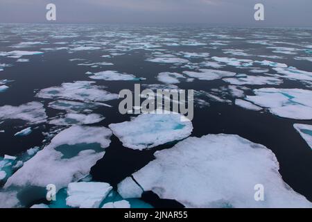 Schwimmendes Packeis im arktischen Ozean. Das schneebedeckte blaue Gletschereis ist eine unberührte Wildnis. Spitzbergen, Norwegen Stockfoto