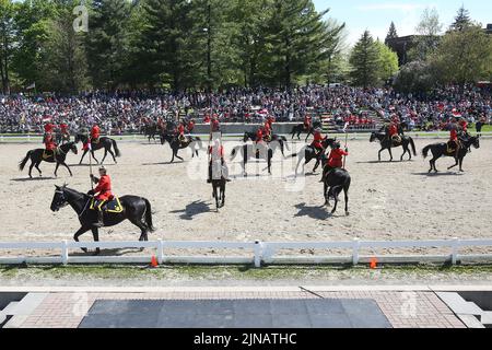 Am Mittwoch, den 18. Mai 2022, treffen Offiziere der RCMP Musical Ride zu einer Aufführung in Ottawa, Ontario, ein. Stockfoto