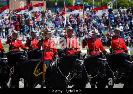 Am Mittwoch, den 18. Mai 2022, treffen Offiziere der RCMP Musical Ride zu einer Aufführung in Ottawa, Ontario, ein. Stockfoto