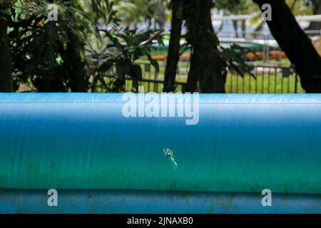 Aufblasbare Spielzeuge für Spaß in der grünen und blauen Farbe in Rio de Janeiro-Brasilien Stockfoto