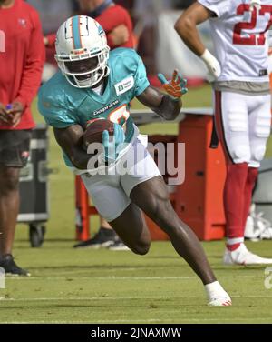 Tampa, Usa. 10. August 2022. Nick Needham von Miami Dolphins nimmt den Ball während eines gemeinsamen Trainings mit den Tampa Bay Buccaneers am Mittwoch, den 10. August 2022, im Trainingszentrum des Buccaneer in Tampa, Florida, in die Hand. Foto von Steve Nesius/UPI Credit: UPI/Alamy Live News Stockfoto