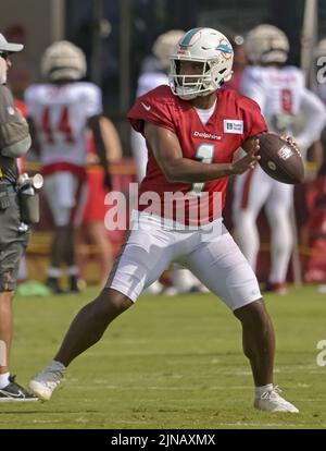 Tampa, Usa. 10. August 2022. Die Miami Dolphins Quarterback Tua Tagovailoa passiert am Mittwoch, den 10. August 2022, während einer gemeinsamen Übung mit den Tampa Bay Buccaneers im Trainingszentrum des Buccaneer in Tampa, Florida. Foto von Steve Nesius/UPI Credit: UPI/Alamy Live News Stockfoto