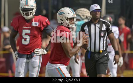 Tampa, Usa. 10. August 2022. Teddy Bridgewater (5) von Miami Dolphins sieht so aus, als Tua Tagovailoa am Mittwoch, den 10. August 2022, während einer gemeinsamen Übung im Trainingszentrum des Buccaneer in Tampa, Florida, vorbeikommt. Foto von Steve Nesius/UPI Credit: UPI/Alamy Live News Stockfoto