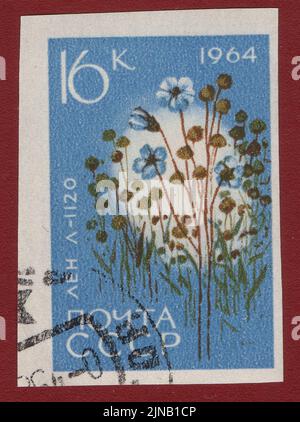 UdSSR - UM 1964: Eine in der UdSSR gedruckte Marke zeigt eine landwirtschaftliche Nutzpflanze mit der Aufschrift Flax Linum usitatissimum aus der Serie Landwirtschaftliche Nutzpflanzen gezüchtet Stockfoto