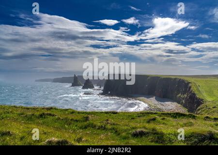Ein Blick auf die Duncansby Sea Stacks und die wilde und zerklüftete Küste von Caithness in den schottischen Highlands Stockfoto