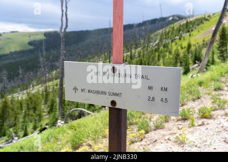 Schild für den Trailhead zum Mt. Washburn Summit im Yellowstone National Park Stockfoto