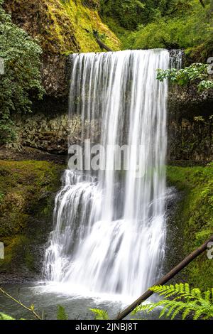Lower South Falls im Silver Falls State Park, OR Stockfoto