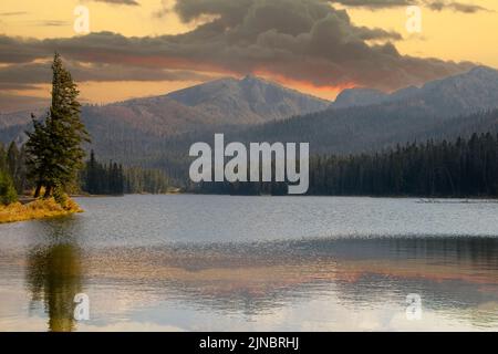 Über dem Sylvan Lake im Yellowstone National Park, Wyoming, entsteht ein Sturm. Tiere haben in den Bäumen Zuflucht gefunden. Eine Brise kitzelt die Oberfläche des Sees. Stockfoto