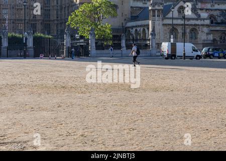 Heute Morgen wird auf dem Parliament Square Gras ausgetrockelt. Großbritannien erlebt derzeit trockenes Wetter. Bild aufgenommen am 4.. August 2022. © Belinda Jiao Stockfoto