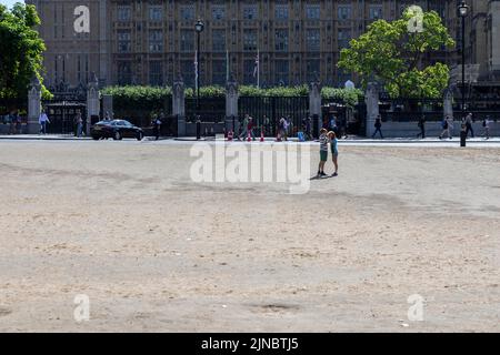 Heute Morgen wird auf dem Parliament Square Gras ausgetrockelt. Großbritannien erlebt derzeit trockenes Wetter. Bild aufgenommen am 4.. August 2022. © Belinda Jiao Stockfoto