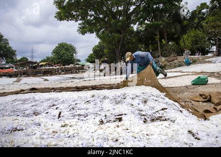 Dhaka, Dhaka, Bangladesch. 25.. Juli 2022. Verlassene Plastik wird zuerst durch Tokais gesammelt. „TOKAI“ bedeutet, wer Junks von der Straße, dem Mülleimer usw. sammelt. Danach trennt eine Gruppe von Arbeitern den Kunststoff vom gleichen Müll. Im nächsten Schritt werden diese Kunststoffe geschnitten und einige Kunststoffe gebrochen und dann in die Maschine eingeführt, um in kleine Stücke umgewandelt zu werden (was der erste Schritt des Recyclings ist), wie in den Bildern gezeigt. Weiße Plastikstücke müssen in der heißen Sonne getrocknet werden, aber andere farbige Stücke benötigen 25 bis 35 Minuten zum Trocknen. Das ist der Grund, warum die Stücke in verschiedenen Farben erlaubt sind Stockfoto