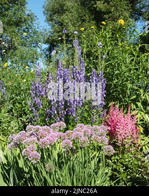 Blumengarten in einem Stadtpark in der Nachbarschaft im Sommer, Riley Park, Calgary, Alberta, Kanada Stockfoto