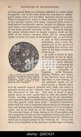 Die alte Lebensgeschichte der Erde (Seite 22) Stockfoto