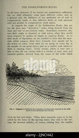 Die alte Lebensgeschichte der Erde (Seite 17) Stockfoto