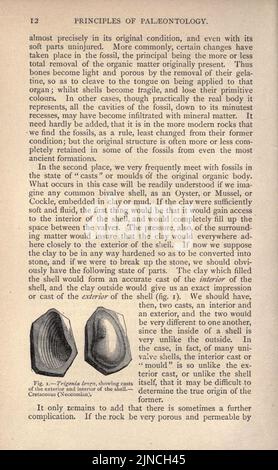 Die alte Lebensgeschichte der Erde (Seite 12) Stockfoto