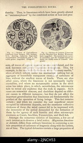 Die alte Lebensgeschichte der Erde (Seite 27) Stockfoto
