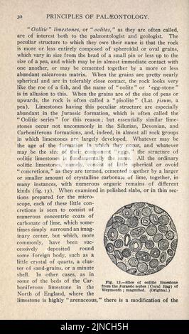 Die alte Lebensgeschichte der Erde (Seite 30) Stockfoto