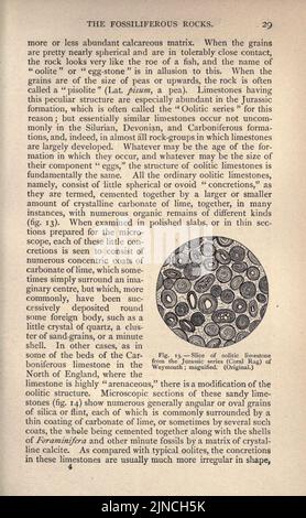 Die alte Lebensgeschichte der Erde (Seite 29) Stockfoto