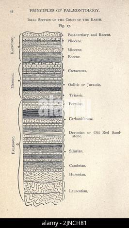 Die alte Lebensgeschichte der Erde (Seite 44) Stockfoto